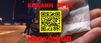 Альфа ПВП Гатчина
