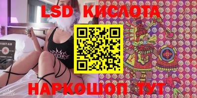 Альфа ПВП Гатчина