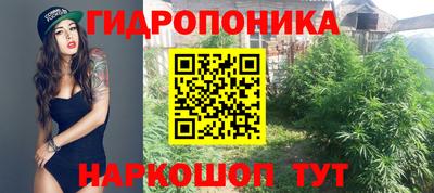 Альфа ПВП Гатчина