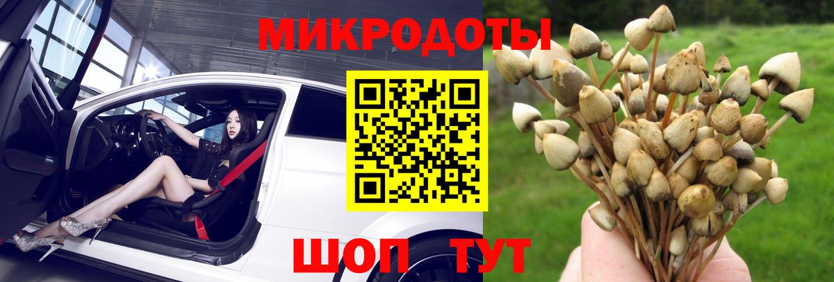 Озёрск  Псилоцибиновые грибы мухоморы  Вход с VPN  Галлюциногенные грибы прущие грибы 